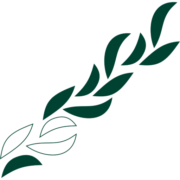 épi boulangerie & pâtisserie
